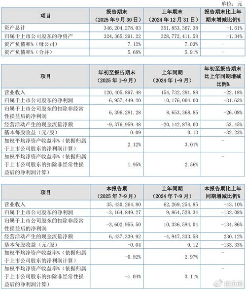 聯(lián)迪信息2025年第三季度凈虧損316.48萬元，內銷收入下滑拖累業(yè)績